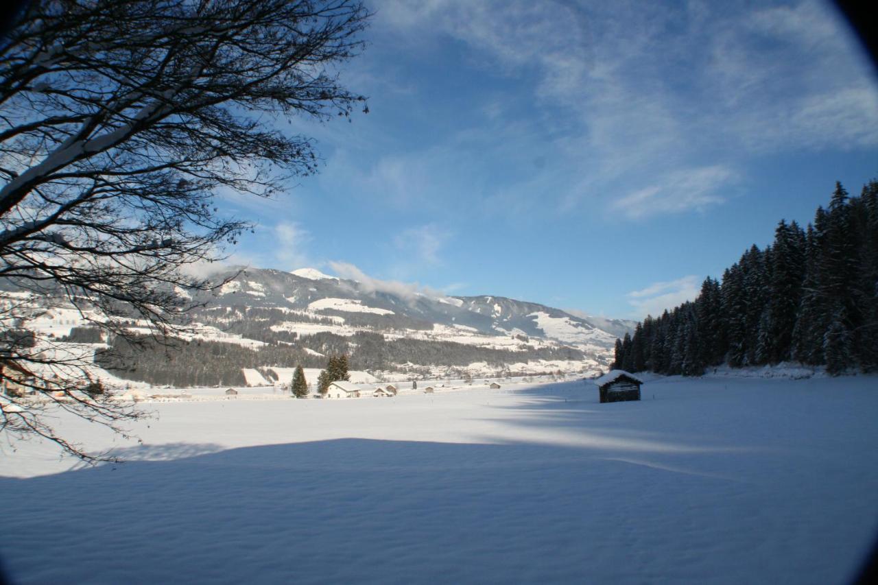 Ferienwohnung Oase Der Ruhe Hollersbach im Pinzgau Exterior foto